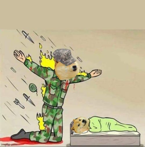Doge protecting sleeping doge | image tagged in soldier protecting sleeping child,doge | made w/ Imgflip meme maker