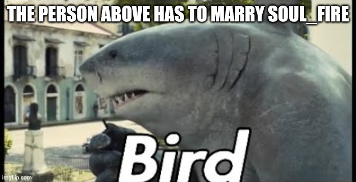 King shark bird | THE PERSON ABOVE HAS TO MARRY SOUL_FIRE | image tagged in king shark bird | made w/ Imgflip meme maker