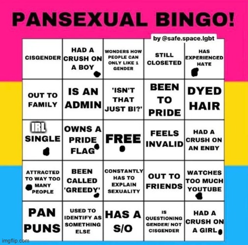 IM STILL PAN! | IRL | image tagged in pansexual bingo | made w/ Imgflip meme maker