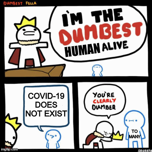 Corona | HUMAN; COVID-19 DOES NOT EXIST; TO MANY | image tagged in i'm the dumbest man alive | made w/ Imgflip meme maker