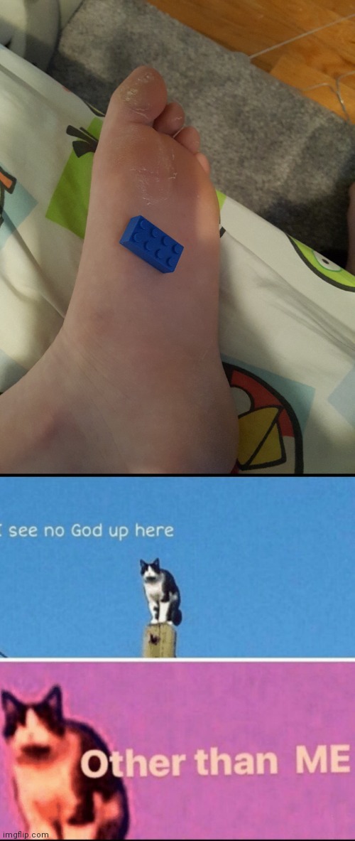 I FEEL NO PAIN | image tagged in i see no god up here other than me | made w/ Imgflip meme maker
