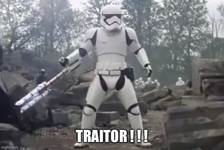 TRAITOR | TRAITOR ! ! ! | image tagged in traitor | made w/ Imgflip meme maker