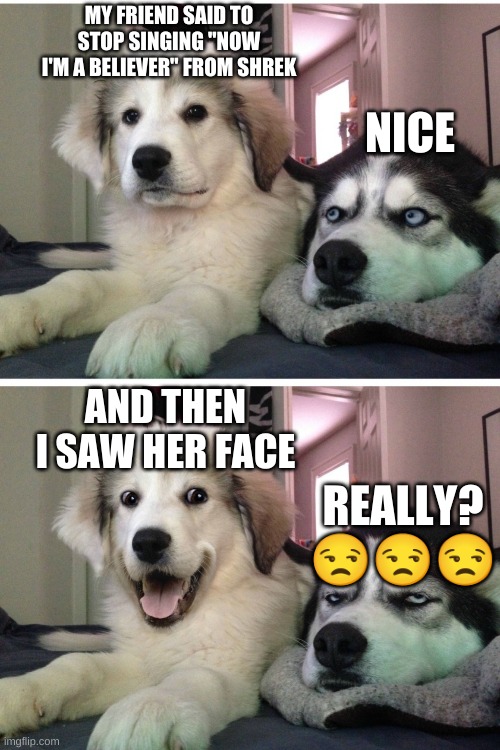 and then i saw her face | MY FRIEND SAID TO STOP SINGING "NOW I'M A BELIEVER" FROM SHREK; NICE; AND THEN I SAW HER FACE; REALLY? 😒😒😒 | image tagged in bad pun dogs,funny dog memes,bad puns,dad joke,funny memes | made w/ Imgflip meme maker