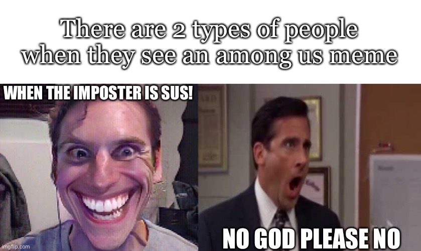 I tried to think of a smart title but no luck | There are 2 types of people when they see an among us meme; WHEN THE IMPOSTER IS SUS! NO GOD PLEASE NO | image tagged in when the imposter is sus,no god no god please no | made w/ Imgflip meme maker