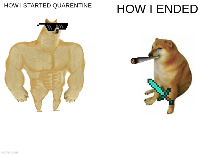 Quarentineeeeeeeee | HOW I STARTED QUARENTINE; HOW I ENDED | image tagged in memes,buff doge vs cheems | made w/ Imgflip meme maker