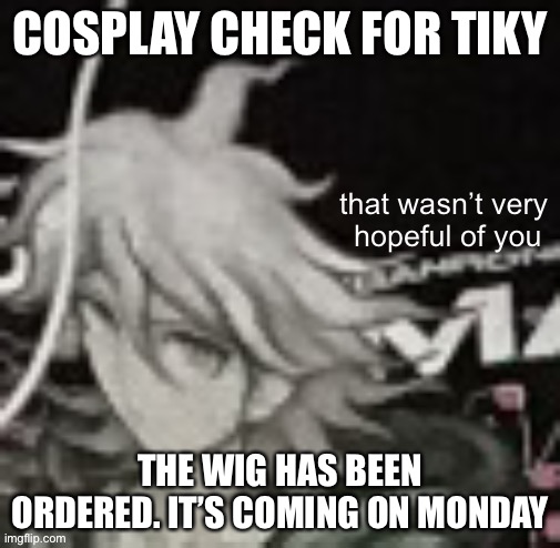 and imma style it after school | COSPLAY CHECK FOR TIKY; THE WIG HAS BEEN ORDERED. IT’S COMING ON MONDAY | image tagged in that wasn t very hopeful of you | made w/ Imgflip meme maker