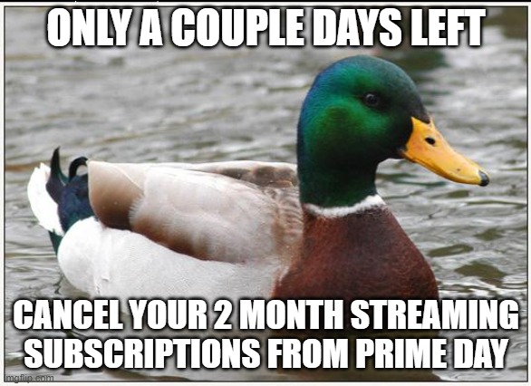 Actual Advice Mallard | ONLY A COUPLE DAYS LEFT; CANCEL YOUR 2 MONTH STREAMING SUBSCRIPTIONS FROM PRIME DAY | image tagged in memes,actual advice mallard,AdviceAnimals | made w/ Imgflip meme maker