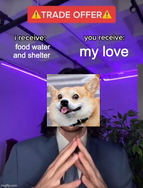 Trade Offer | my love; food water and shelter | image tagged in trade offer | made w/ Imgflip meme maker