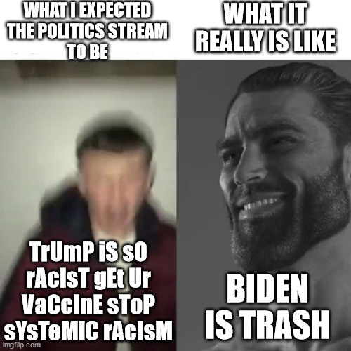 I appreciate all you based conservative chads | WHAT I EXPECTED
 THE POLITICS STREAM 
TO BE; WHAT IT REALLY IS LIKE; TrUmP iS sO rAcIsT gEt Ur VaCcInE sToP sYsTeMiC rAcIsM; BIDEN IS TRASH | image tagged in funny,political meme,joe biden,chad,average fan vs average enjoyer,funny memes | made w/ Imgflip meme maker