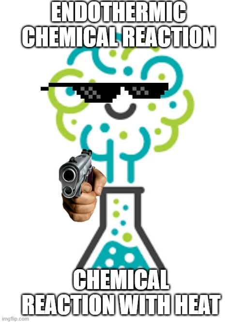 Endothermic chemical reaction meme | ENDOTHERMIC CHEMICAL REACTION; CHEMICAL REACTION WITH HEAT | image tagged in science | made w/ Imgflip meme maker