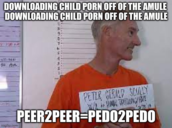 Downloading Child Porn Imgflip 