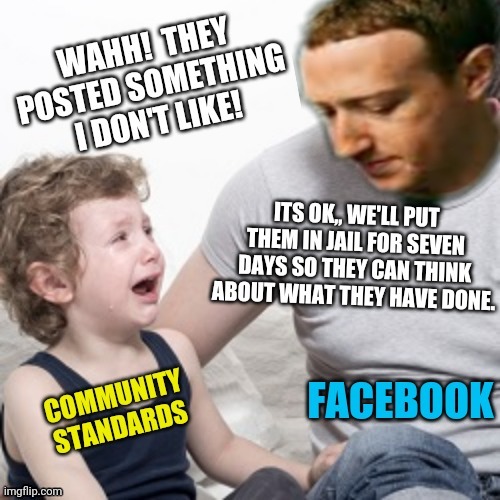 Whose community is it again? | image tagged in facebook,community,double standards,facebook jail,bullshit | made w/ Imgflip meme maker