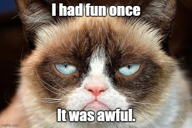 Grumpy Cat Not Amused Meme | I had fun once It was awful. | image tagged in memes,grumpy cat not amused,grumpy cat | made w/ Imgflip meme maker