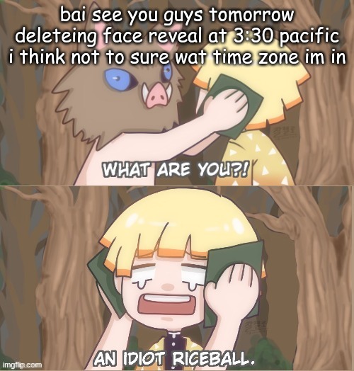 An Idiot Riceball | bai see you guys tomorrow deleteing face reveal at 3:30 pacific i think not to sure wat time zone im in | image tagged in an idiot riceball | made w/ Imgflip meme maker