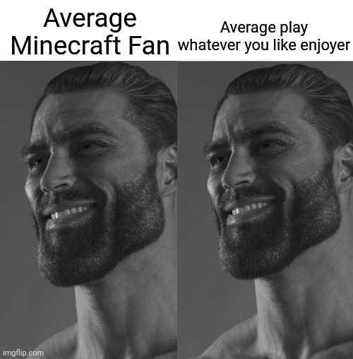 Average play whatever you like enjoyer; Average Minecraft Fan | image tagged in average fan vs average enjoyer | made w/ Imgflip meme maker