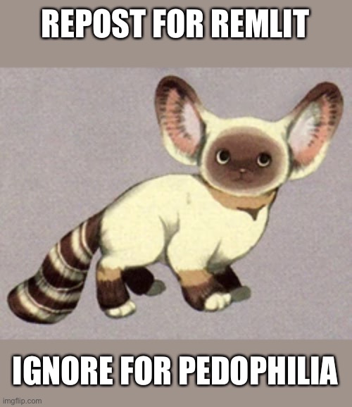 REPOST FOR REMLIT; IGNORE FOR PEDOPHILIA | made w/ Imgflip meme maker