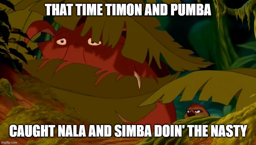 Jungle Fook | THAT TIME TIMON AND PUMBA; CAUGHT NALA AND SIMBA DOIN' THE NASTY | image tagged in classic cartoon,lion king | made w/ Imgflip meme maker