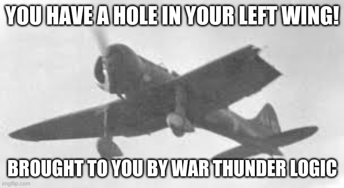 YOU HAVE A HOLE IN YOUR LEFT WING! BROUGHT TO YOU BY WAR THUNDER LOGIC | image tagged in war thunder | made w/ Imgflip meme maker