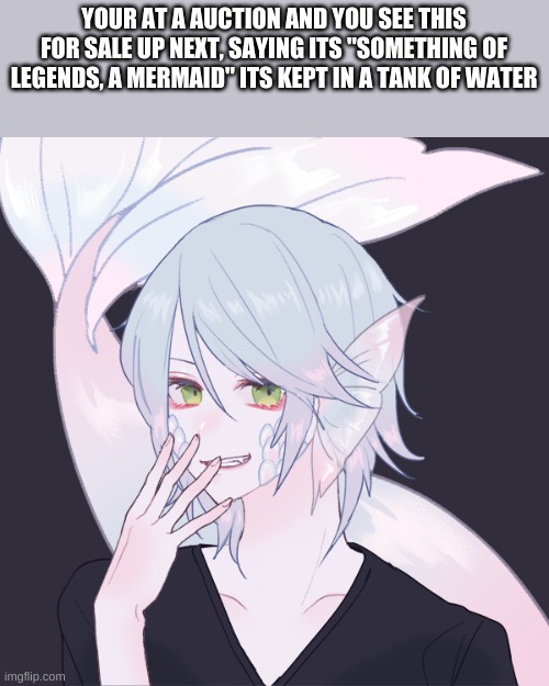 Your in a world without magic or magical creatures | YOUR AT A AUCTION AND YOU SEE THIS FOR SALE UP NEXT, SAYING ITS "SOMETHING OF LEGENDS, A MERMAID" ITS KEPT IN A TANK OF WATER | made w/ Imgflip meme maker