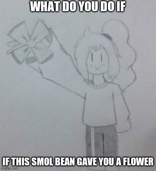 :3 | WHAT DO YOU DO IF; IF THIS SMOL BEAN GAVE YOU A FLOWER | made w/ Imgflip meme maker