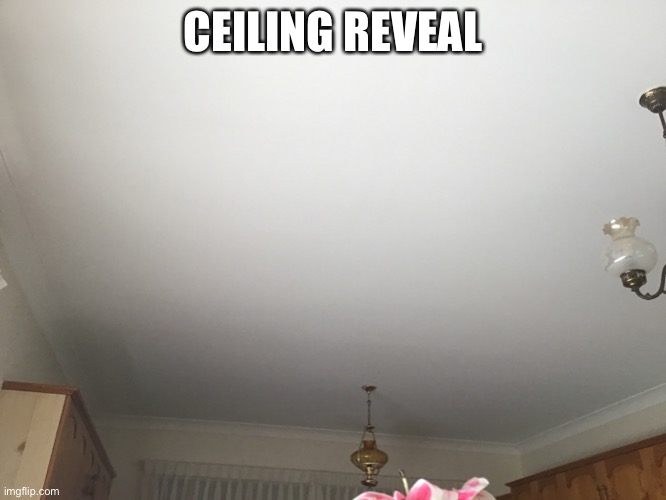 Bottom text | CEILING REVEAL | image tagged in e | made w/ Imgflip meme maker