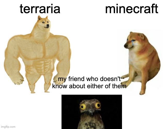 Buff Doge vs. Cheems Meme | terraria; minecraft; my friend who doesn't know about either of them | image tagged in memes,buff doge vs cheems | made w/ Imgflip meme maker