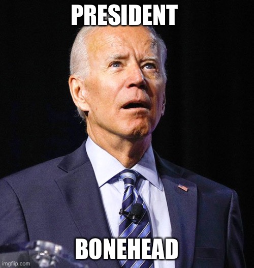 Joe Biden | PRESIDENT; BONEHEAD | image tagged in joe biden | made w/ Imgflip meme maker