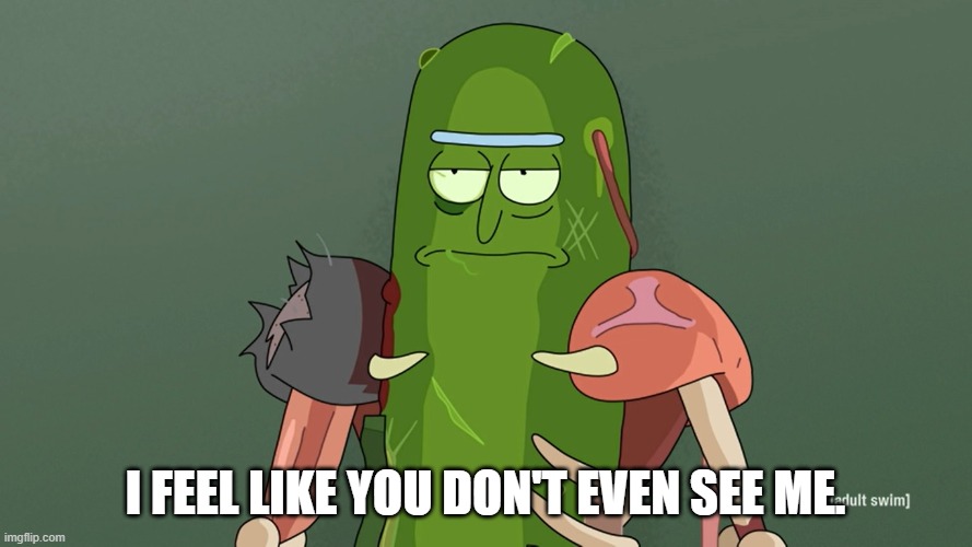 pickle rick | I FEEL LIKE YOU DON'T EVEN SEE ME. | image tagged in pickle rick | made w/ Imgflip meme maker
