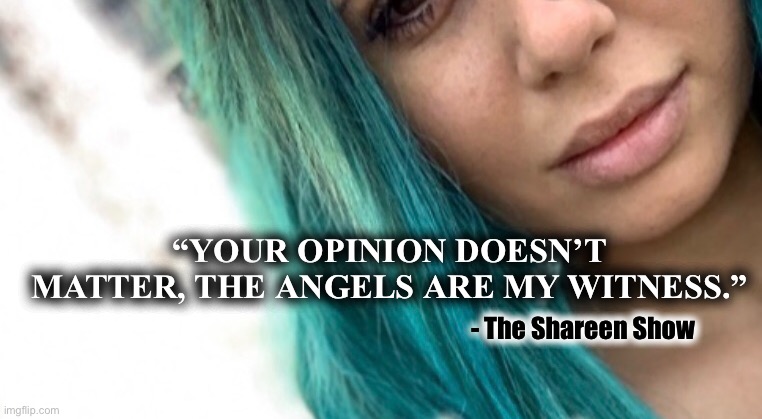 Angels | “YOUR OPINION DOESN’T MATTER, THE ANGELS ARE MY WITNESS.”; - The Shareen Show | image tagged in angels,prayer,spirituality,justice,god,karma | made w/ Imgflip meme maker