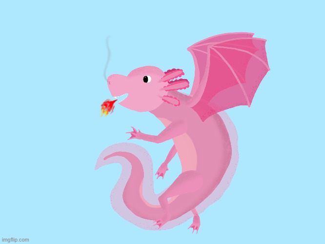 Axolotl/dragon I drew :D hope you like it! | image tagged in axolotl,dragon | made w/ Imgflip meme maker
