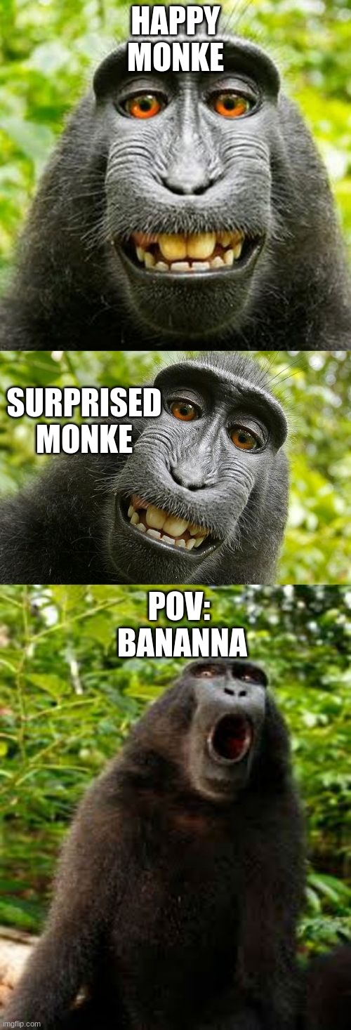 bad pun monkey | HAPPY MONKE; SURPRISED MONKE; POV:
 BANANNA | image tagged in bad pun monkey | made w/ Imgflip meme maker