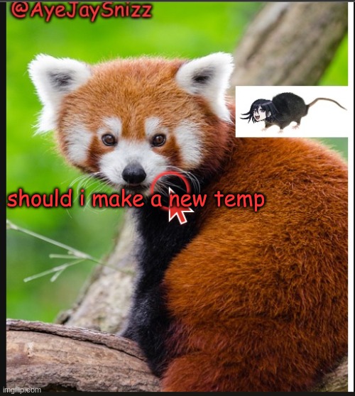 aj | should i make a new temp | image tagged in ayejaysnizz red panda announcement | made w/ Imgflip meme maker