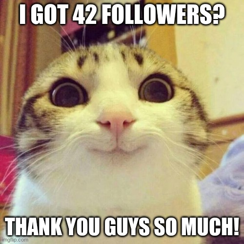Smiling Cat Meme | I GOT 42 FOLLOWERS? THANK YOU GUYS SO MUCH! | image tagged in memes,smiling cat | made w/ Imgflip meme maker