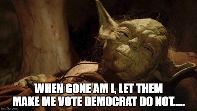 Yoda Dying |  WHEN GONE AM I, LET THEM MAKE ME VOTE DEMOCRAT DO NOT..... | image tagged in yoda dying | made w/ Imgflip meme maker