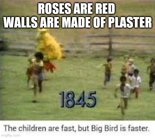 Big Bird Running | ROSES ARE RED 
WALLS ARE MADE OF PLASTER | image tagged in big bird running | made w/ Imgflip meme maker
