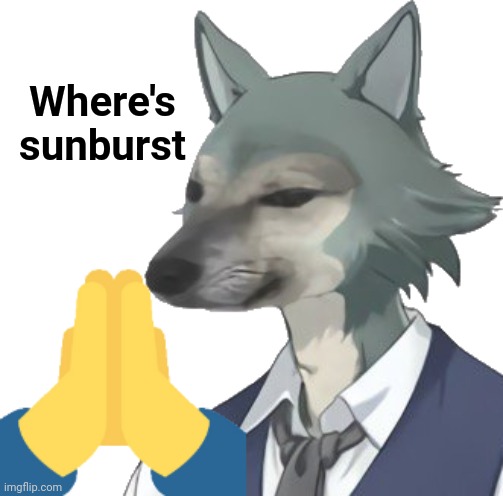 :p | Where's sunburst | image tagged in hmm rabbet dorime | made w/ Imgflip meme maker