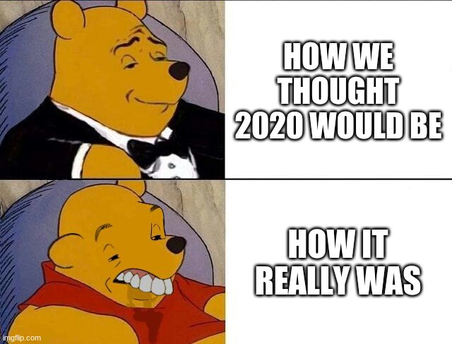 I bet you paused to comment | HOW WE THOUGHT 2020 WOULD BE; HOW IT REALLY WAS | image tagged in tuxedo winnie the pooh grossed reverse | made w/ Imgflip meme maker