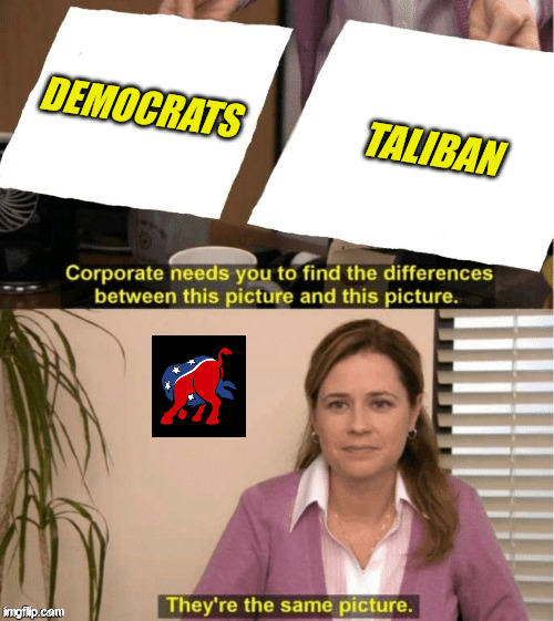 Democrats, Taliban, Tomato, Tomahto ... | TALIBAN; DEMOCRATS | image tagged in they re the same thing,democrats,taliban,afghanistan,another saigon,it's bush's fault | made w/ Imgflip meme maker