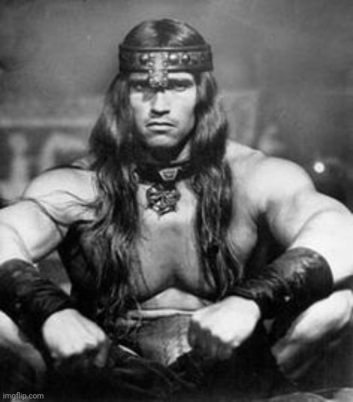 Conan the Barbarian | image tagged in conan the barbarian | made w/ Imgflip meme maker