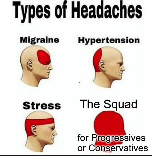 Squad's in Our Disfavor |  The Squad; for Progressives 
or Conservatives | image tagged in types of headaches meme,the squad,progressives,conservatives,american politics,squishy middle | made w/ Imgflip meme maker