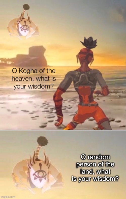 Kogah of the hevan, what is your wisdom |  O random person of the land, what is your wisdom? | image tagged in kogah of the hevan what is your wisdom,memes,ha ha tags go brr,unnecessary tags,stop reading the tags | made w/ Imgflip meme maker