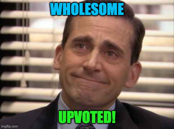 wholesome | WHOLESOME UPVOTED! | image tagged in wholesome | made w/ Imgflip meme maker