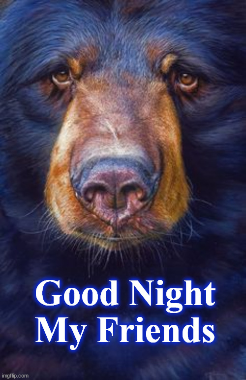 bear | Good Night My Friends | image tagged in bear | made w/ Imgflip meme maker