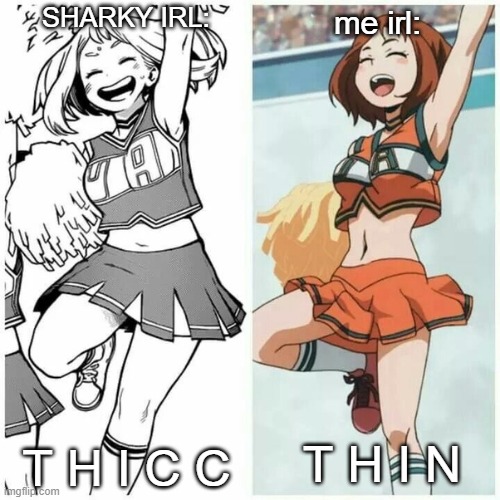 Me and Sharky's weight difference irl | SHARKY IRL:; me irl:; T H I N; T H I C C | made w/ Imgflip meme maker
