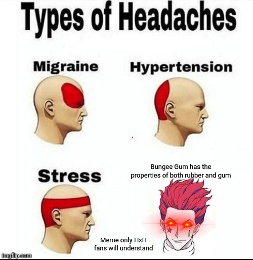 BUNGEE GUM HAS THE PROPERTIES OF BOTH RUBBER AND GUM | Bungee Gum has the properties of both rubber and gum; Meme only HxH fans will understand | image tagged in types of headaches meme | made w/ Imgflip meme maker
