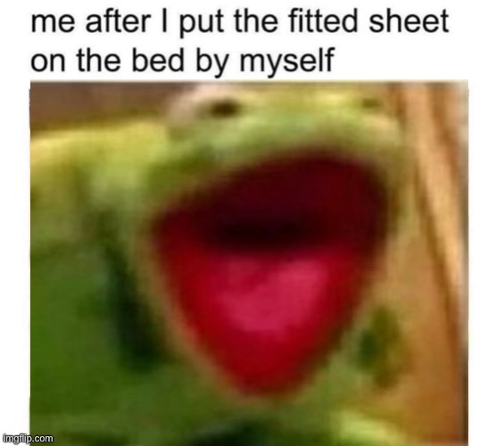 Relatable | image tagged in relatable,kermit the frog,screaming,funny,memes,funny memes | made w/ Imgflip meme maker