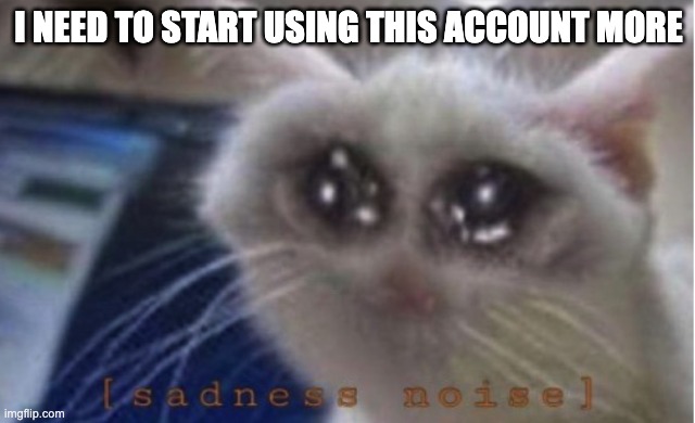 Mega sad cat | I NEED TO START USING THIS ACCOUNT MORE | image tagged in mega sad cat | made w/ Imgflip meme maker