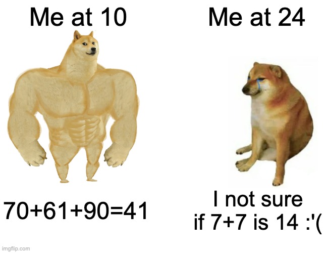 Buff Doge vs. Cheems | Me at 10; Me at 24; 70+61+90=41; I not sure if 7+7 is 14 :'( | image tagged in memes,buff doge vs cheems | made w/ Imgflip meme maker