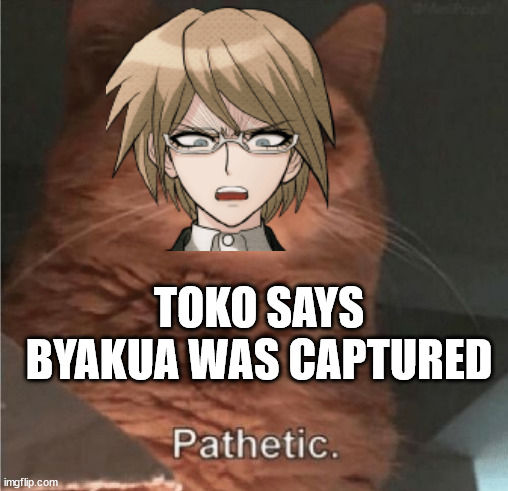 Pathetic Cat | TOKO SAYS BYAKUA WAS CAPTURED | image tagged in pathetic cat | made w/ Imgflip meme maker