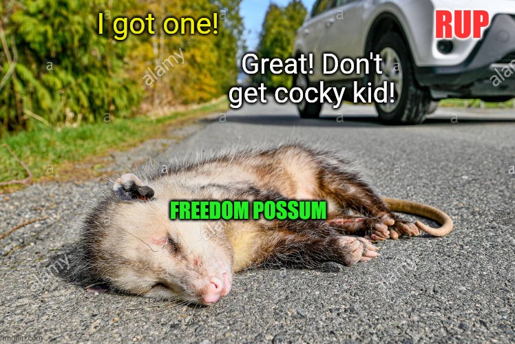 RUP FREEDOM POSSUM I got one! Great! Don't get cocky kid! | made w/ Imgflip meme maker